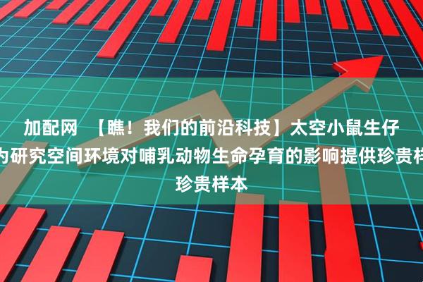 加配网  【瞧！我们的前沿科技】太空小鼠生仔啦为研究空间环境对哺乳动物生命孕育的影响提供珍贵样本