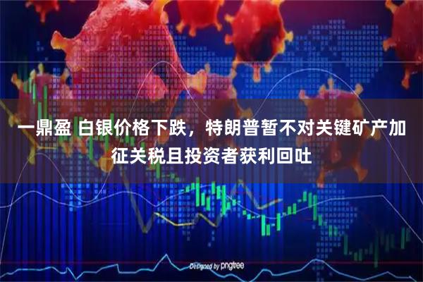 一鼎盈 白银价格下跌，特朗普暂不对关键矿产加征关税且投资者获利回吐