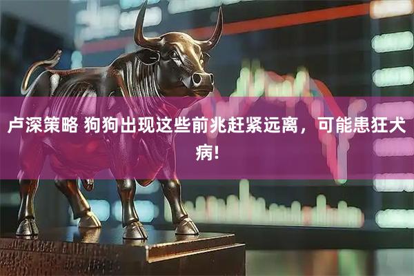 卢深策略 狗狗出现这些前兆赶紧远离，可能患狂犬病!