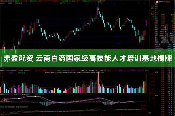 赤盈配资 云南白药国家级高技能人才培训基地揭牌