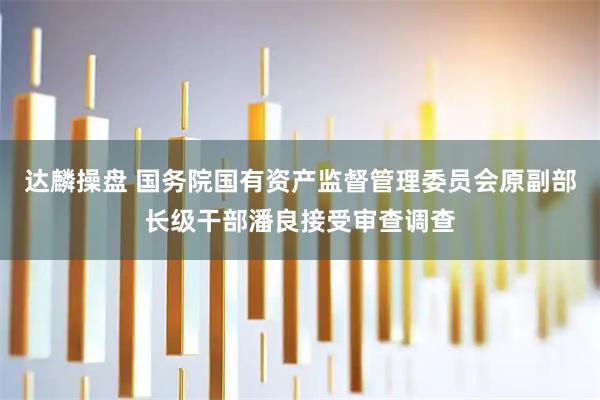 达麟操盘 国务院国有资产监督管理委员会原副部长级干部潘良接受审查调查