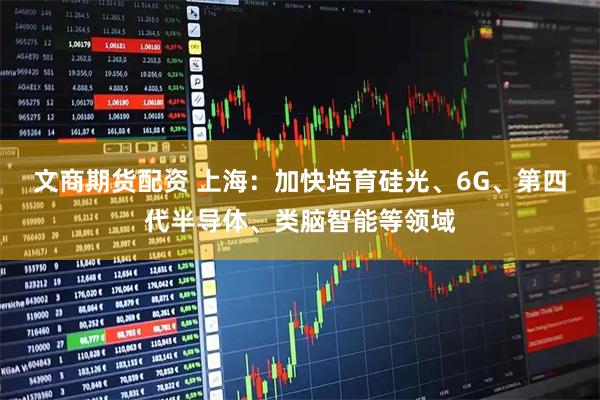 文商期货配资 上海：加快培育硅光、6G、第四代半导体、类脑智能等领域